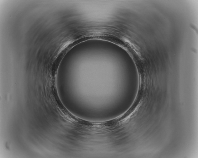 X0000091541449200708171233