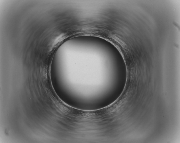 X0000091541451200708171233
