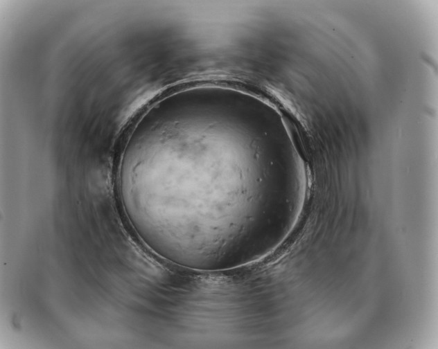 X0000091541452200708171233