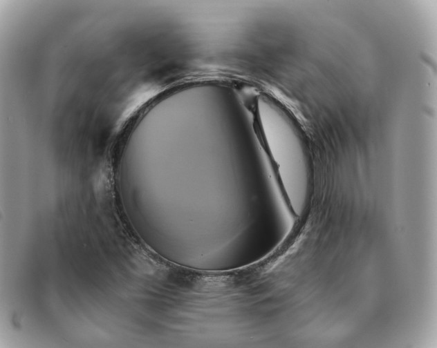 X0000091541453200708171233