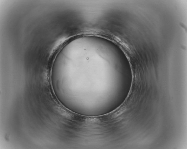 X0000091541454200708171233