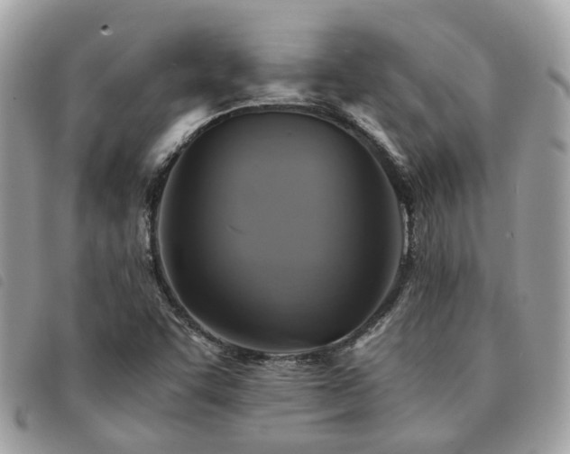 X0000091541455200708171233