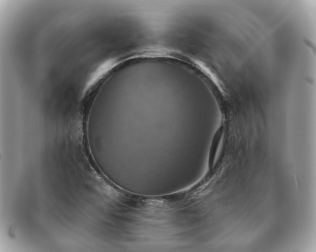 X0000091541456200708171233