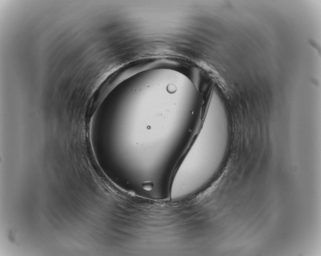 X0000091541457200708171233