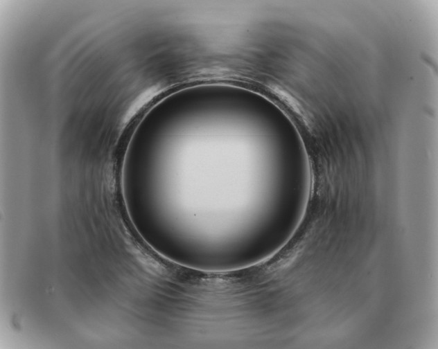 X0000091541458200708171233