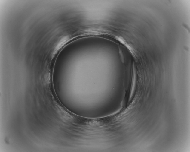 X0000091541459200708171232