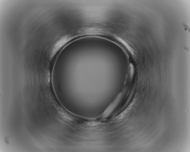 X0000091541461200708171232