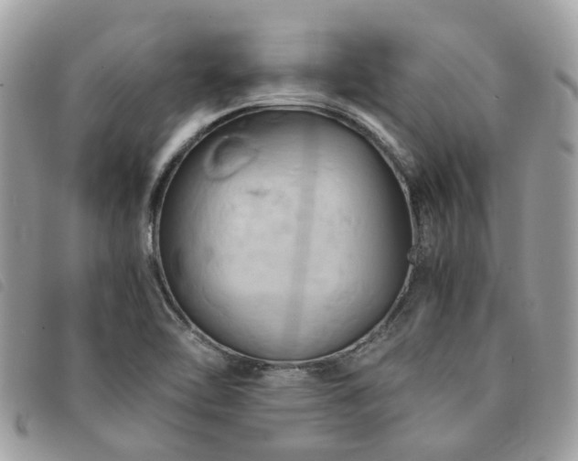 X0000091541462200708171232