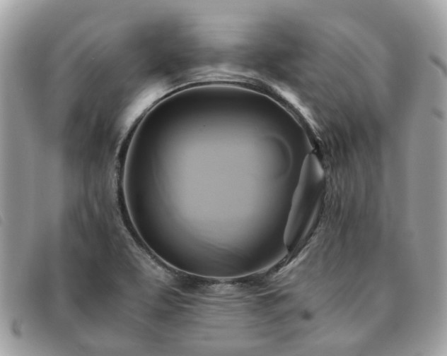 X0000091541463200708171232