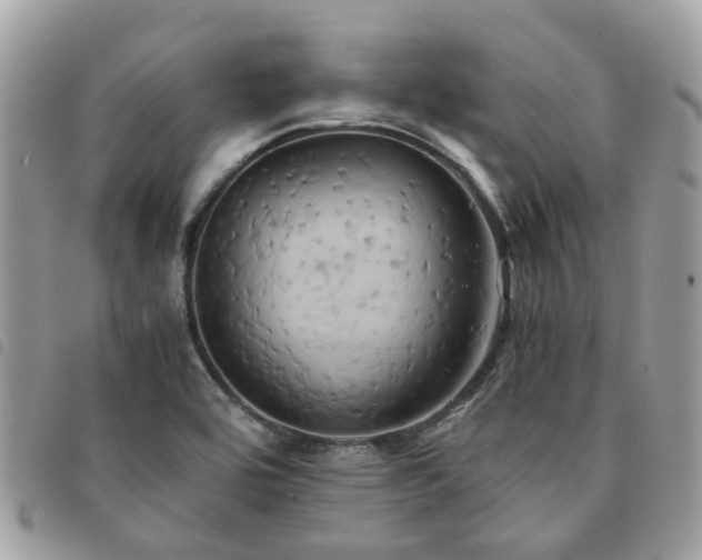 X0000091541464200708171232