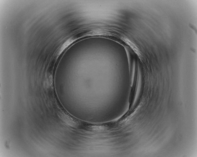X0000091541465200708171232