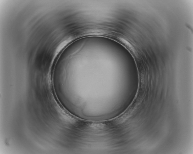 X0000091541466200708171232