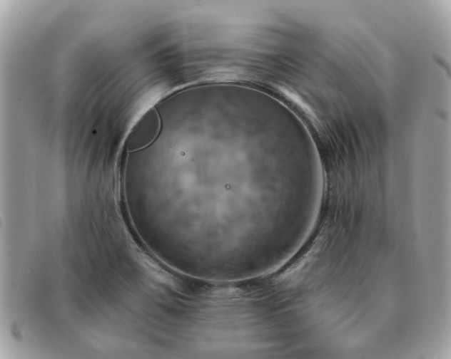 X0000091541467200708171232