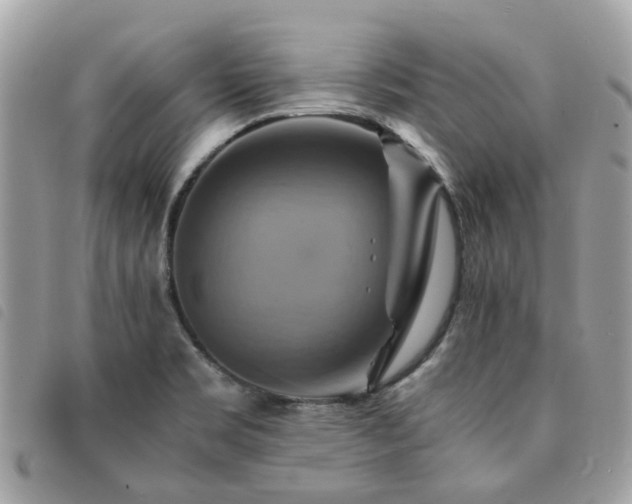 X0000091541469200708171232