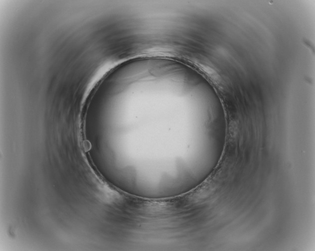 X0000091541470200708171232