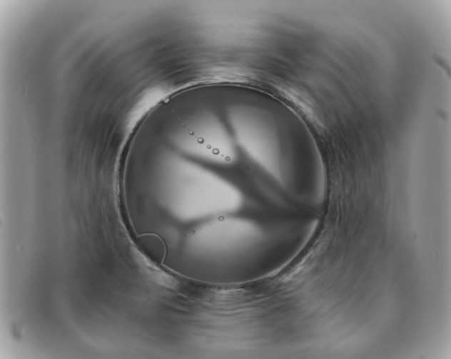 X0000091541471200708171232
