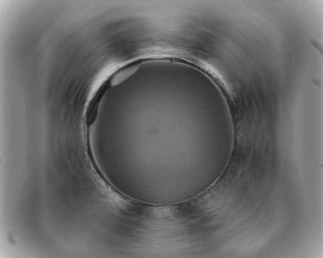 X0000091541472200708171232