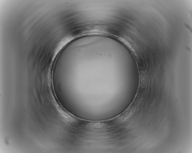 X0000091541474200708171232