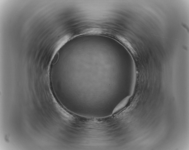 X0000091541475200708171232