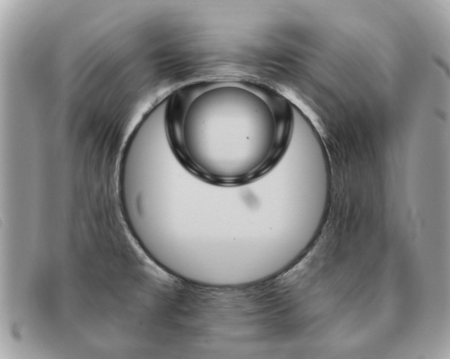 X0000091541477200708171232
