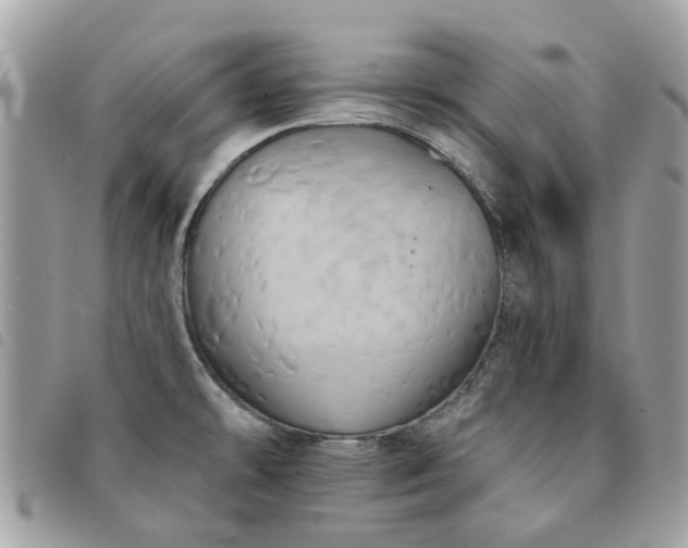 X0000091541478200708171232