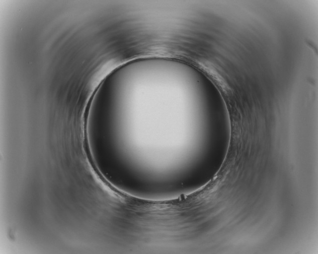 X0000091541479200708171232
