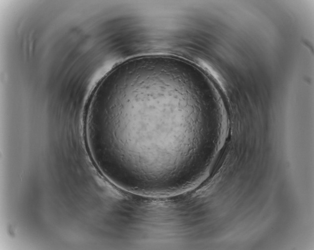 X0000091541480200708171232