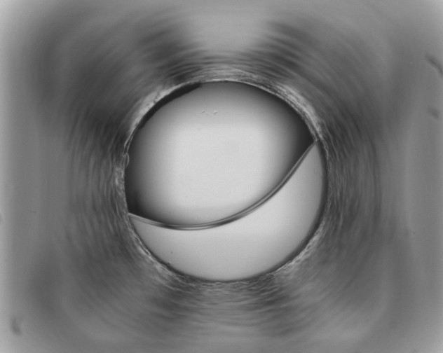 X0000091541481200708171232