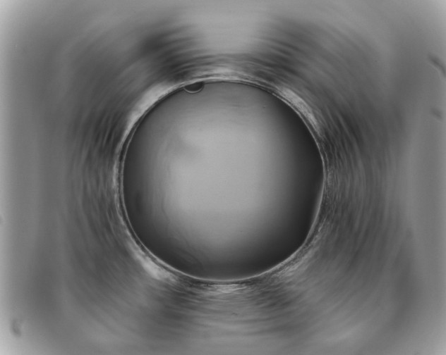 X0000091541482200708171232