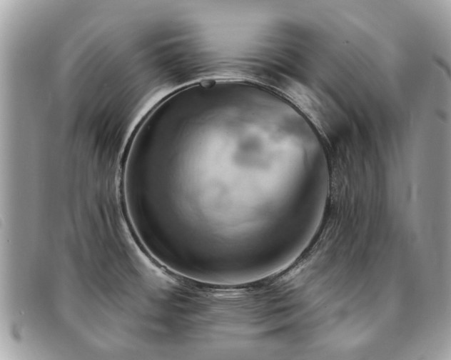 X0000091541484200708171232