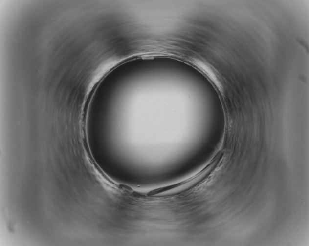 X0000091541485200708171232