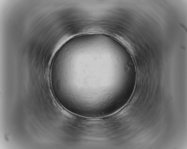 X0000091541486200708171232