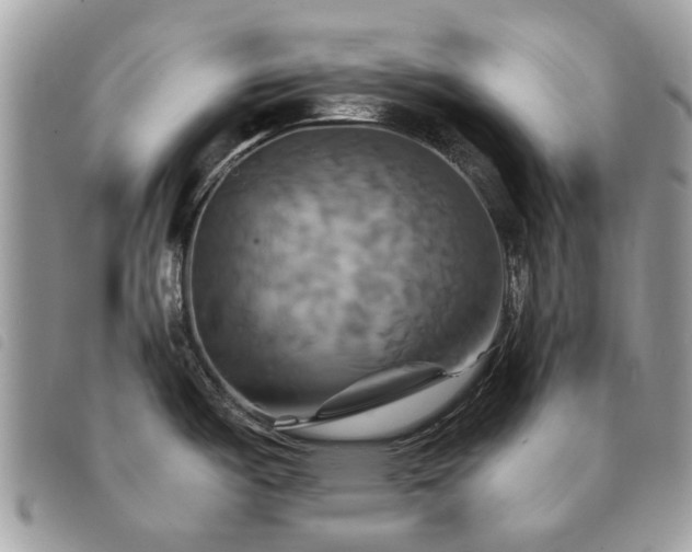 X0000091541487200708171232