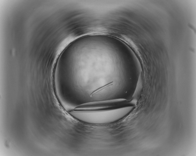 X0000091541488200708171232