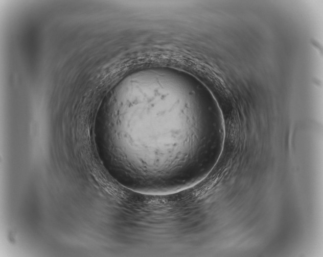 X0000091541489200708171231