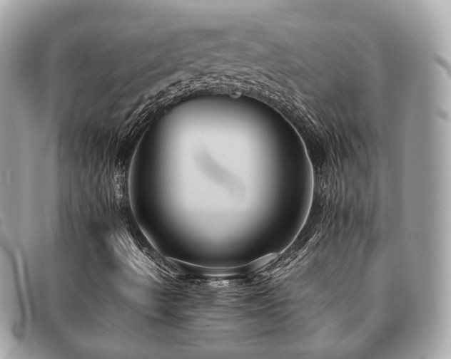 X0000091541490200708171231