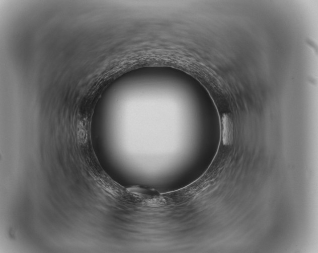 X0000091541491200708171231