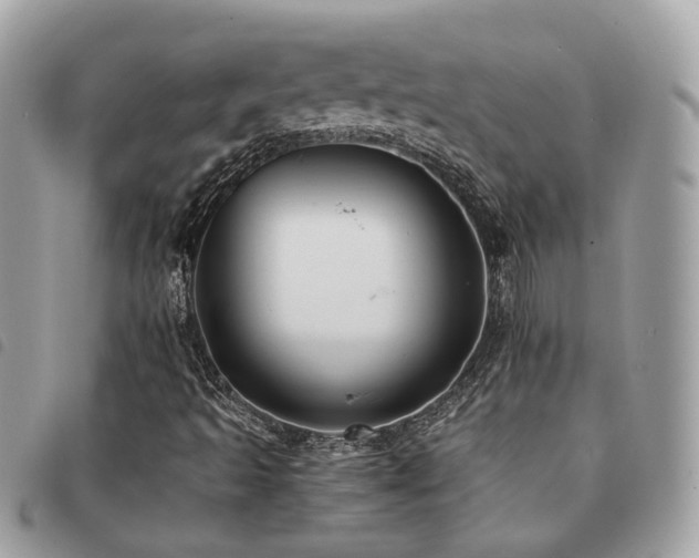 X0000091541493200708171231