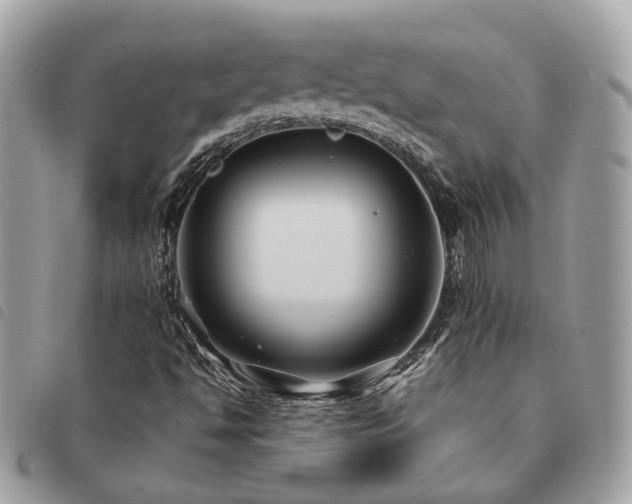 X0000091541494200708171231