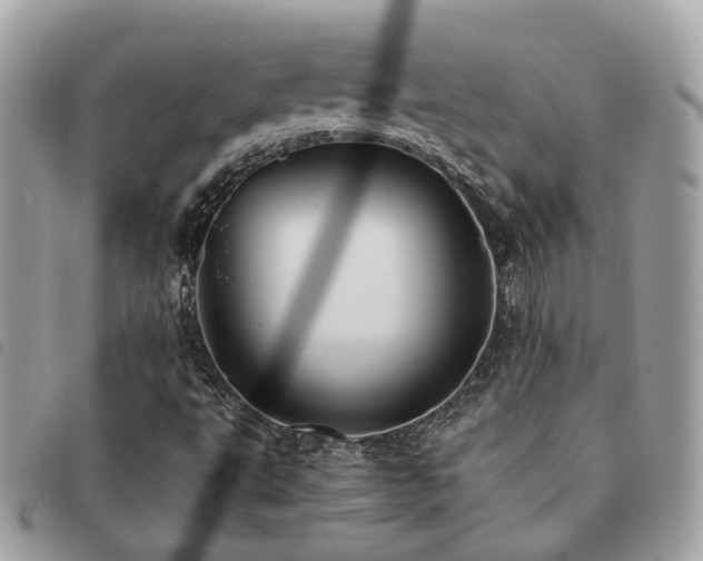X0000091541495200708171231