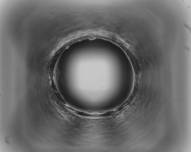 X0000091541496200708171231