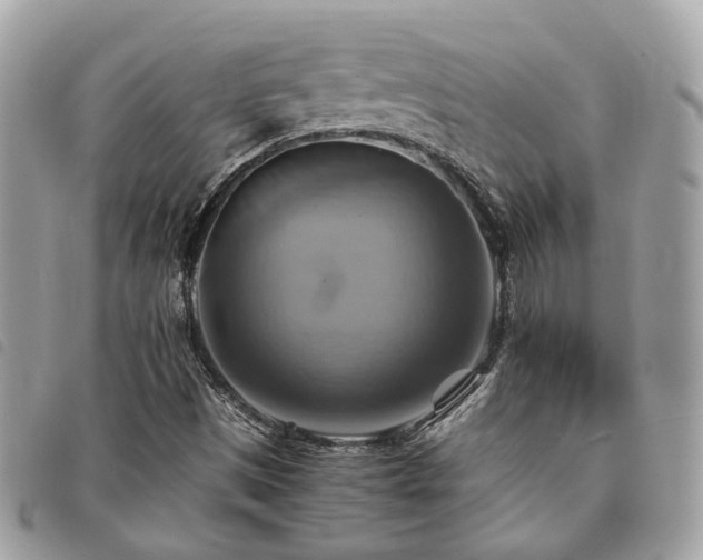 X0000091541497200708171231