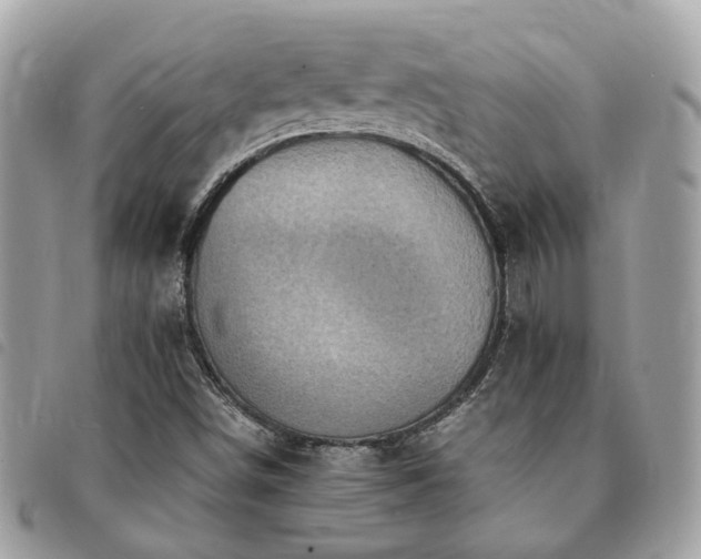 X0000091541498200708171231