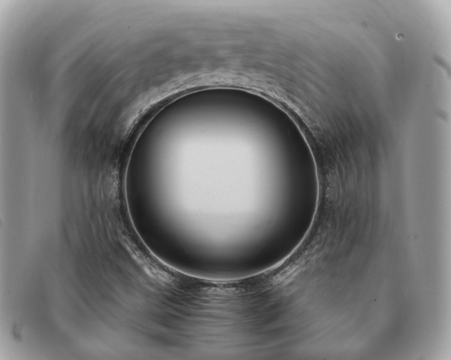X0000091541499200708171231
