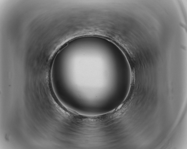 X0000091541500200708171231