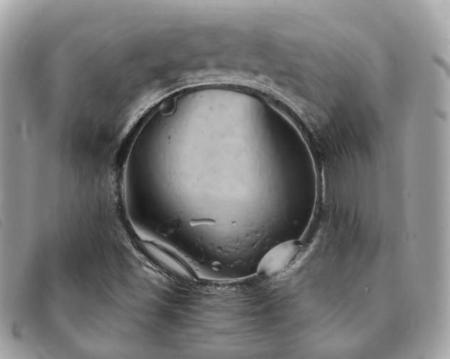 X0000091541501200708171231