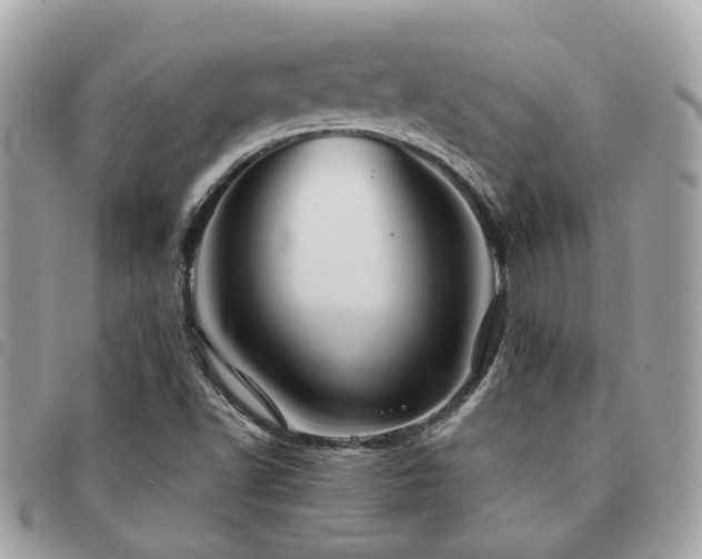 X0000091541502200708171231