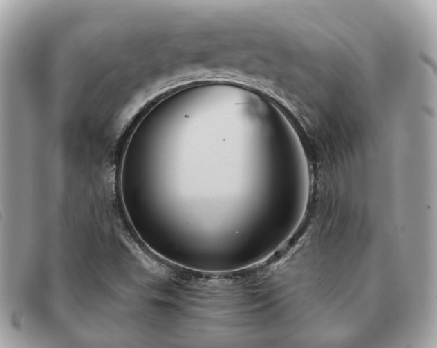 X0000091541503200708171231