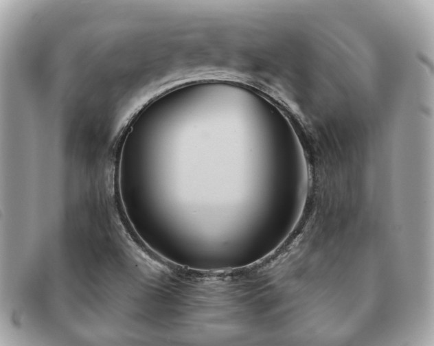 X0000091541504200708171231