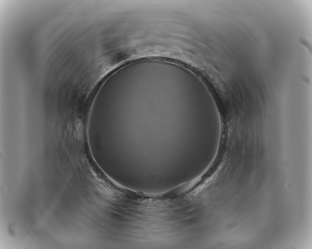 X0000091541505200708171231